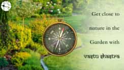 Vastu For Plants – 15 Best Vastu Plants For House To Bring Happiness