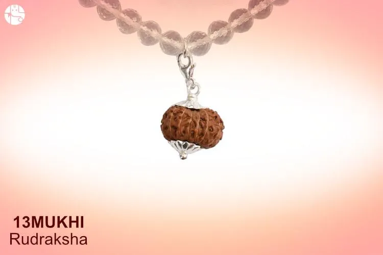 A Guide To 13 Mukhi Rudraksha