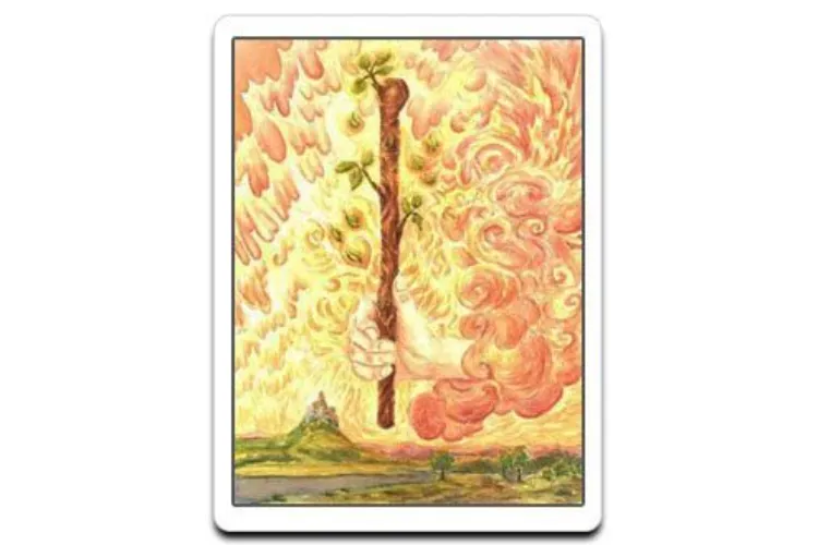 Ace of Wands