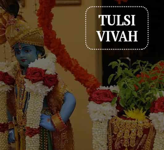 Know About The Importance Of Tulsi Vivah And Its Message