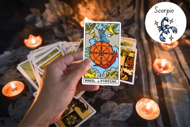 Tarot Prediction - Tarot Card Reading Scorpio 2024